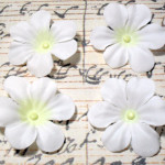 2 in. White Artificial Silk Flower - 4 pc Craft Embellishment