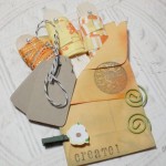 Orange Embellish Pack - 3 Yards of Ribbon Kraft Tags Bakers Twine Spiral Clips Mini Clothes Pin Set