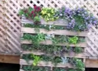 DIY Recycled Pallet Vertical Garden