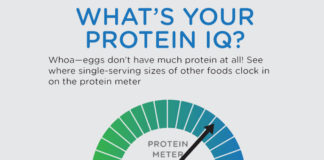 20-Best-Foods-with-High-Protein