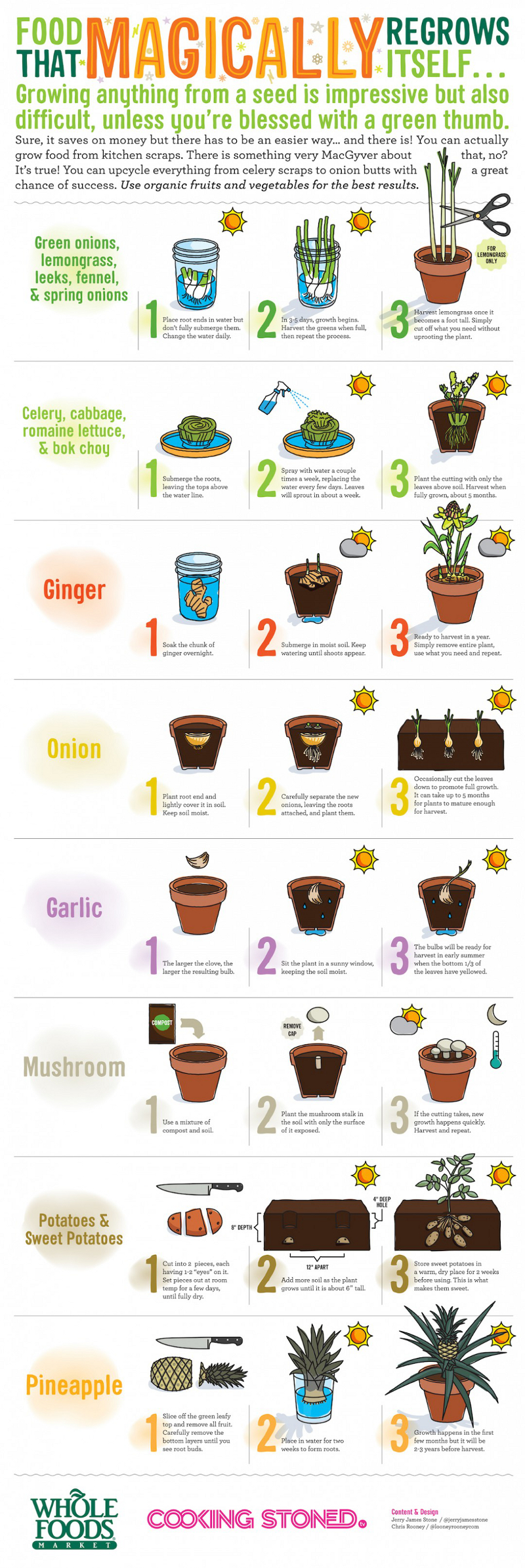 Food-That-Regrow-From-Scraps