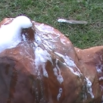 Paper Mache Volcano Step Six